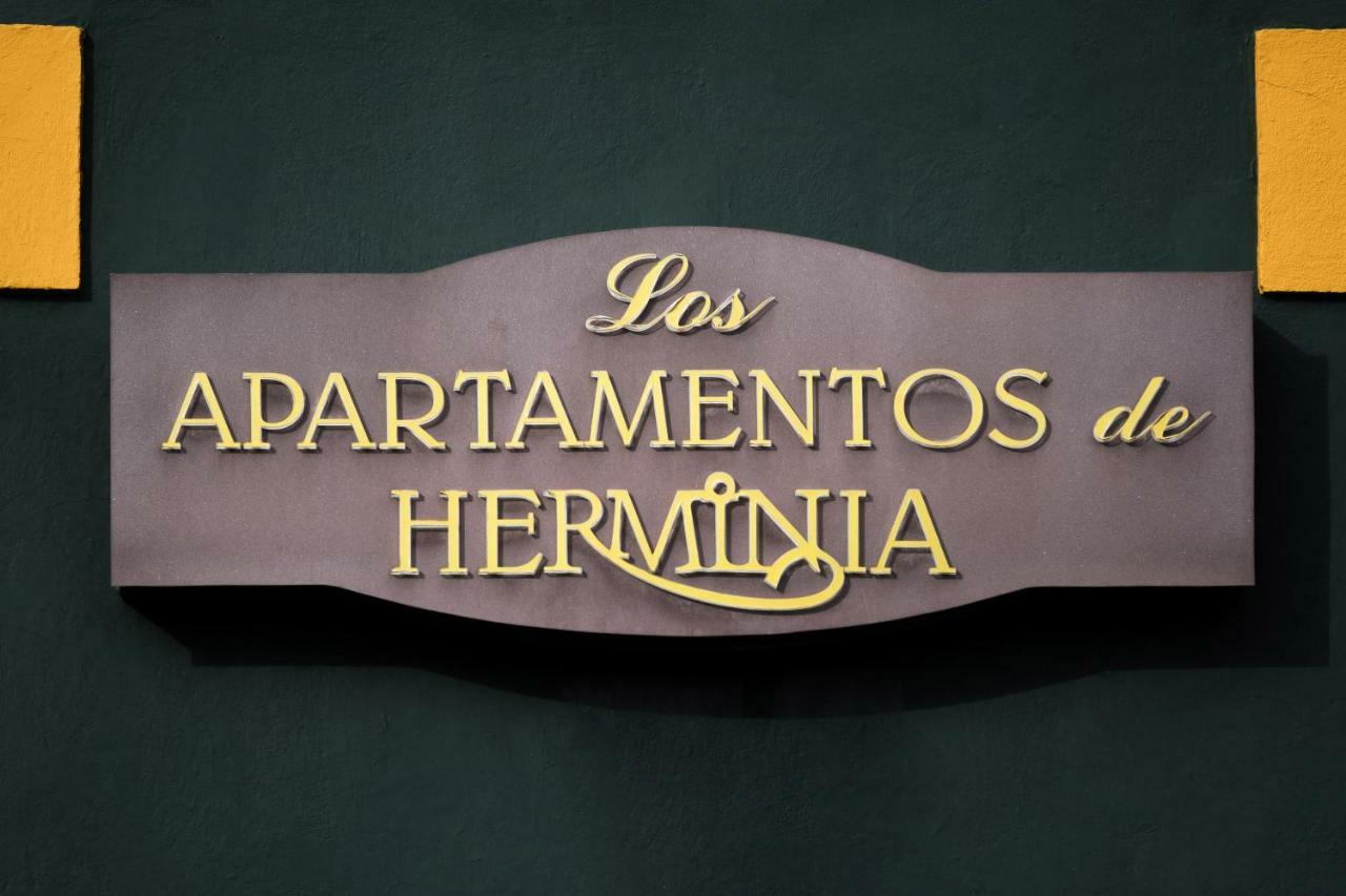 Apartamentos De Herminia Manzaneda  Exterior photo